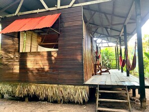 Exterior - amazonian oropendola tambopata (Tambopata)