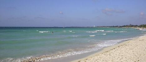 Playa en los alrededores y camastros