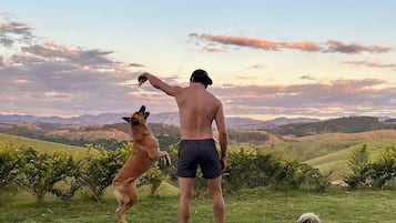 Área da propriedade