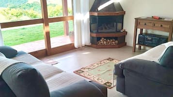 Smart TV, fireplace, books, stereo
