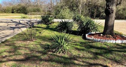 Comfortable Quiet Retreat in Convenient Location