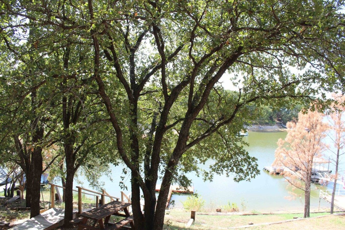Un árbol grande con una terraza de madera en primer plano, un lago tranquilo al fondo y un cielo despejado.