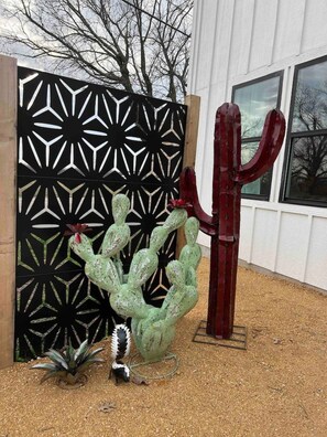 A cactus garden with a geometric metal fence and a tall red cactus.