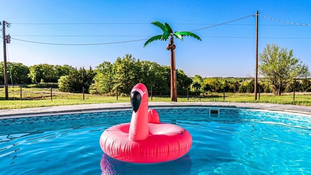 A swimming pool with a pink flamingo inflatable float. - 1BR Ranch Studio | Winery Escapes & Scenic Countryside Views (Saint Jo)