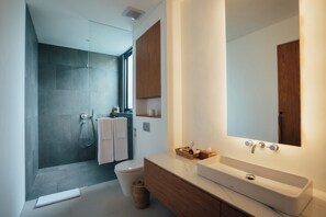Regadera, secadora de cabello, bidet, toallas
