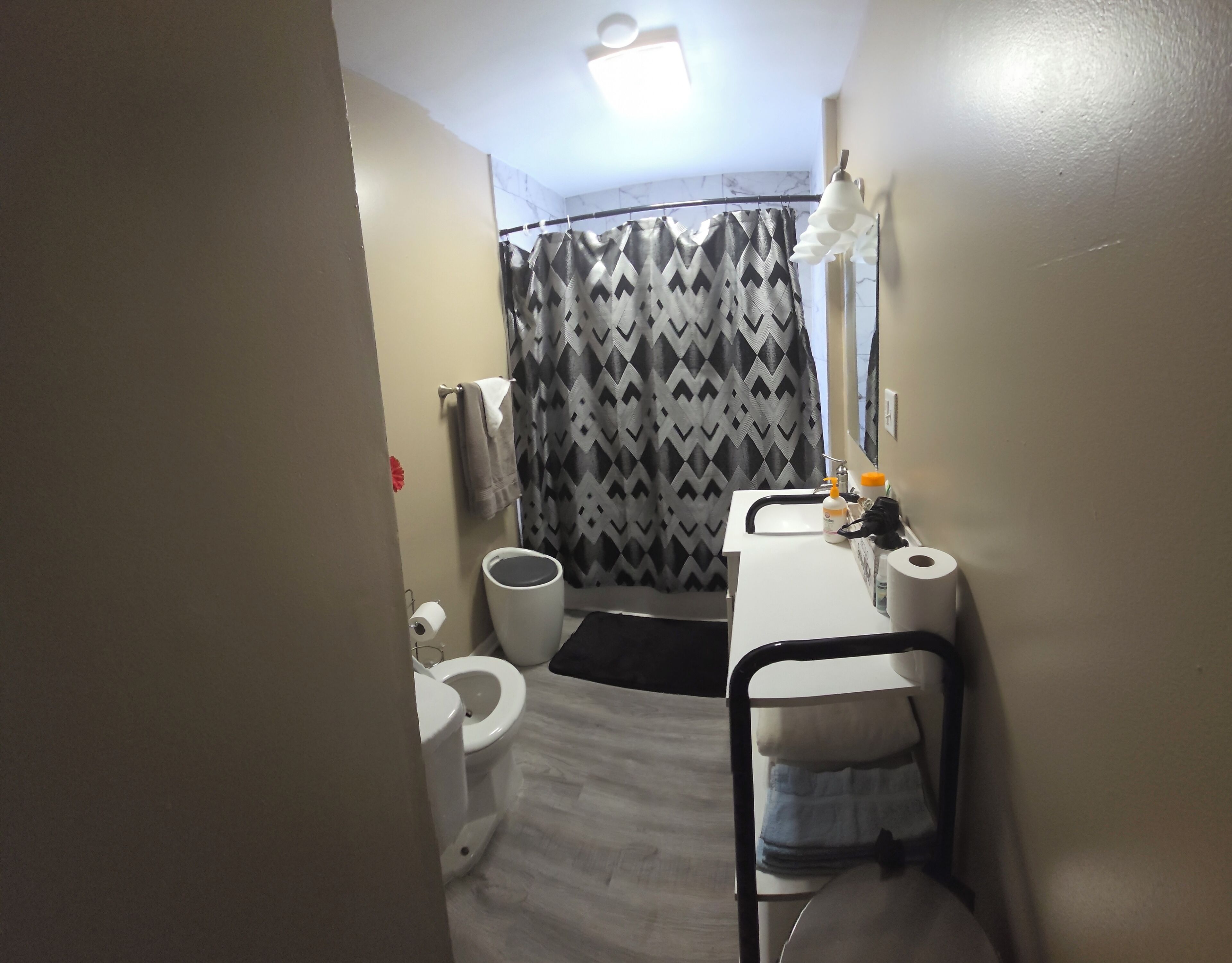 Hair dryer, towels, soap, shampoo