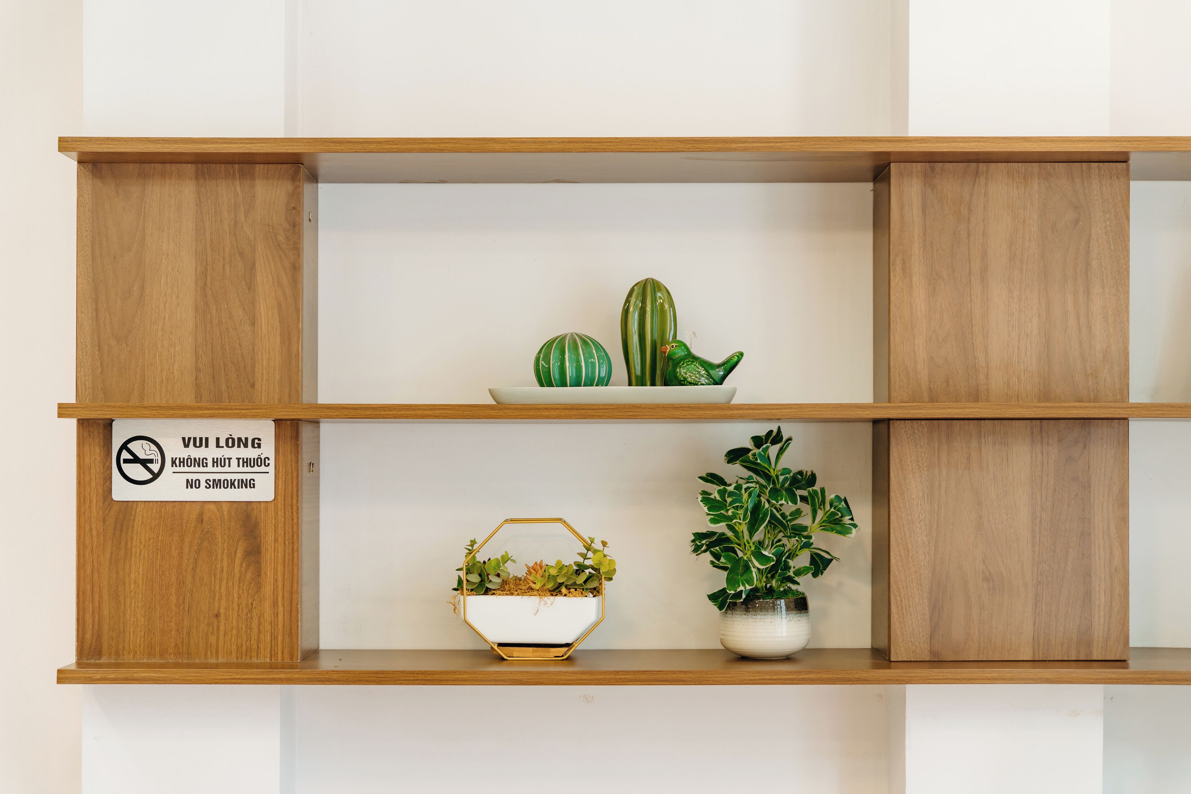 A wooden shelf with a no-smoking sign, a hexagonal planter with succulents, a cactus, and a potted plant.