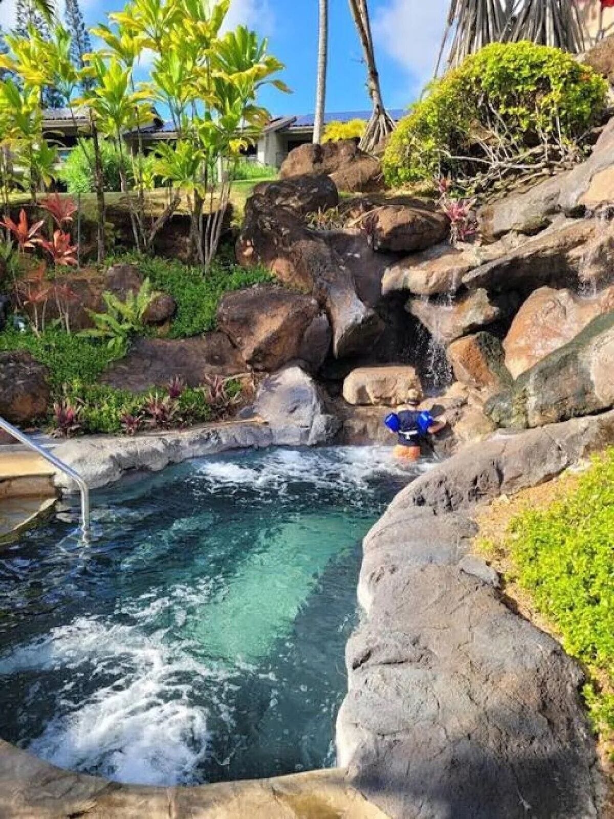 Une zone de sources chaudes avec une petite cascade, entourée de rochers et de plantes tropicales.
