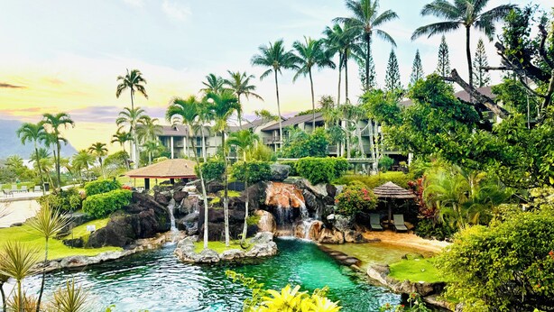 Een resort met een zwembad, palmbomen en een waterval.