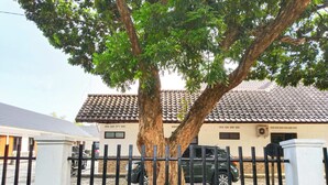 Une maison avec un toit en tuiles, un grand arbre devant et une voiture noire garée dans l’allée.