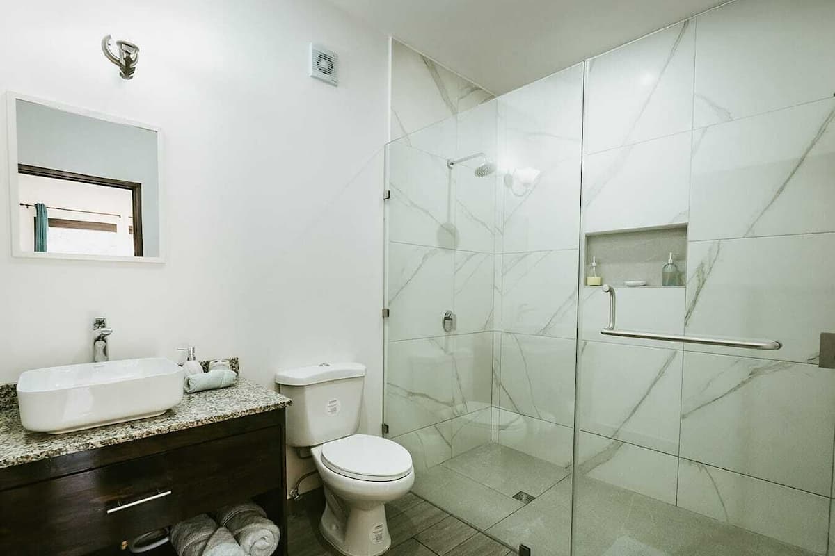 Separate bathtub and shower, towels, soap, shampoo