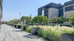 A paved walkway lined with planters and trees, leading to a modern building with large windows.