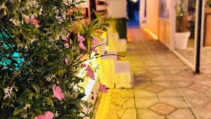 A corridor with a tiled floor, potted plants, and a yellow railing. - HANCI PANSİYON (Edremit)