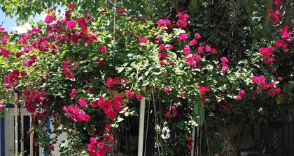 HANCI PANSİYON