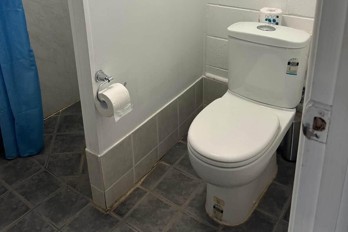 Een kleine, witte badkamer met een toilet, een rol toiletpapier en een blauw douchegordijn.