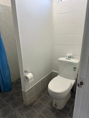 Family Room | Bathroom | Shower, towels, soap, toilet paper - BAN BAN SPRING ROADHOUSE AND MOTEL (Ban Ban Springs)