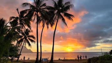 Sun-loungers, beach towels
