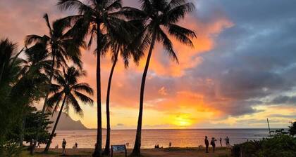 Tropical Paradise #8 at HBR, King Bed Studio with beach access, AC & kitchen