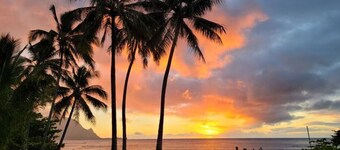 Tropical Paradise #8 at HBR, King Bed Studio with beach access, AC & kitchen