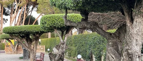 Overnattingsstedets uteområder