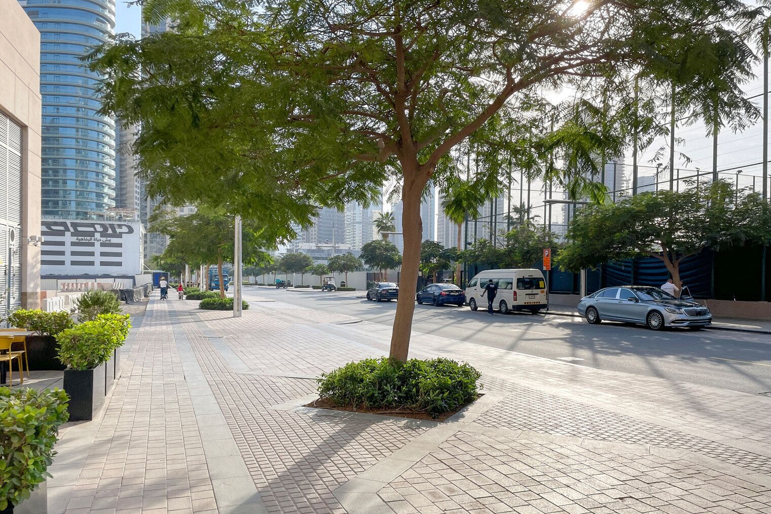 Een verharde stadstraat met een trottoir met bomen, geparkeerde auto's en hoge gebouwen op de achtergrond.