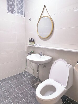 Shower, hair dryer, towels, toilet paper