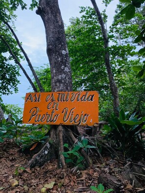 Área da propriedade