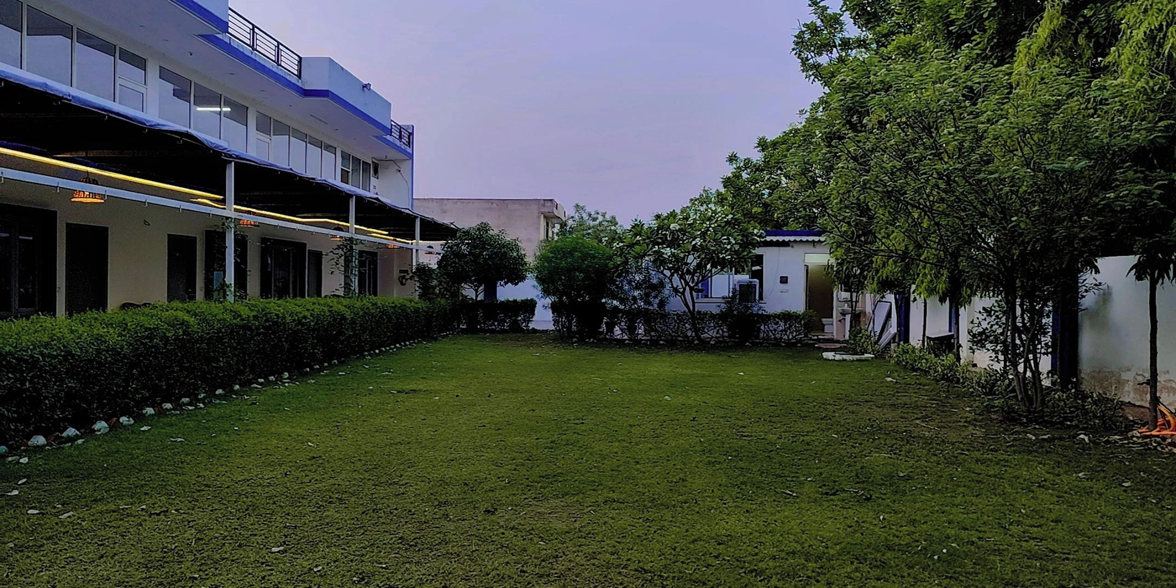 A courtyard with a grassy lawn, a building with a blue and white facade, and a tree.