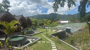 A garden area with a pathway leading to a pool, surrounded by lush greenery and traditional-style buildings. - Nirwana Kintamani (Kintamani)