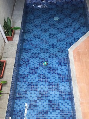 Una piscina rectangular con mosaicos azules, rodeada por un solárium de hormigón con plantas en macetas.