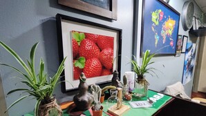 Ein Zimmer mit einem grünen Tisch, Topfpflanzen, einem gerahmten Bild von Erdbeeren und einer Weltkarte an der Wand.