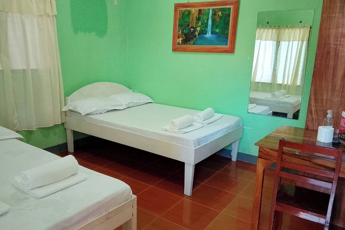 Une chambre avec un lit simple, un mur vert, un tableau, un miroir et une table en bois avec une chaise.