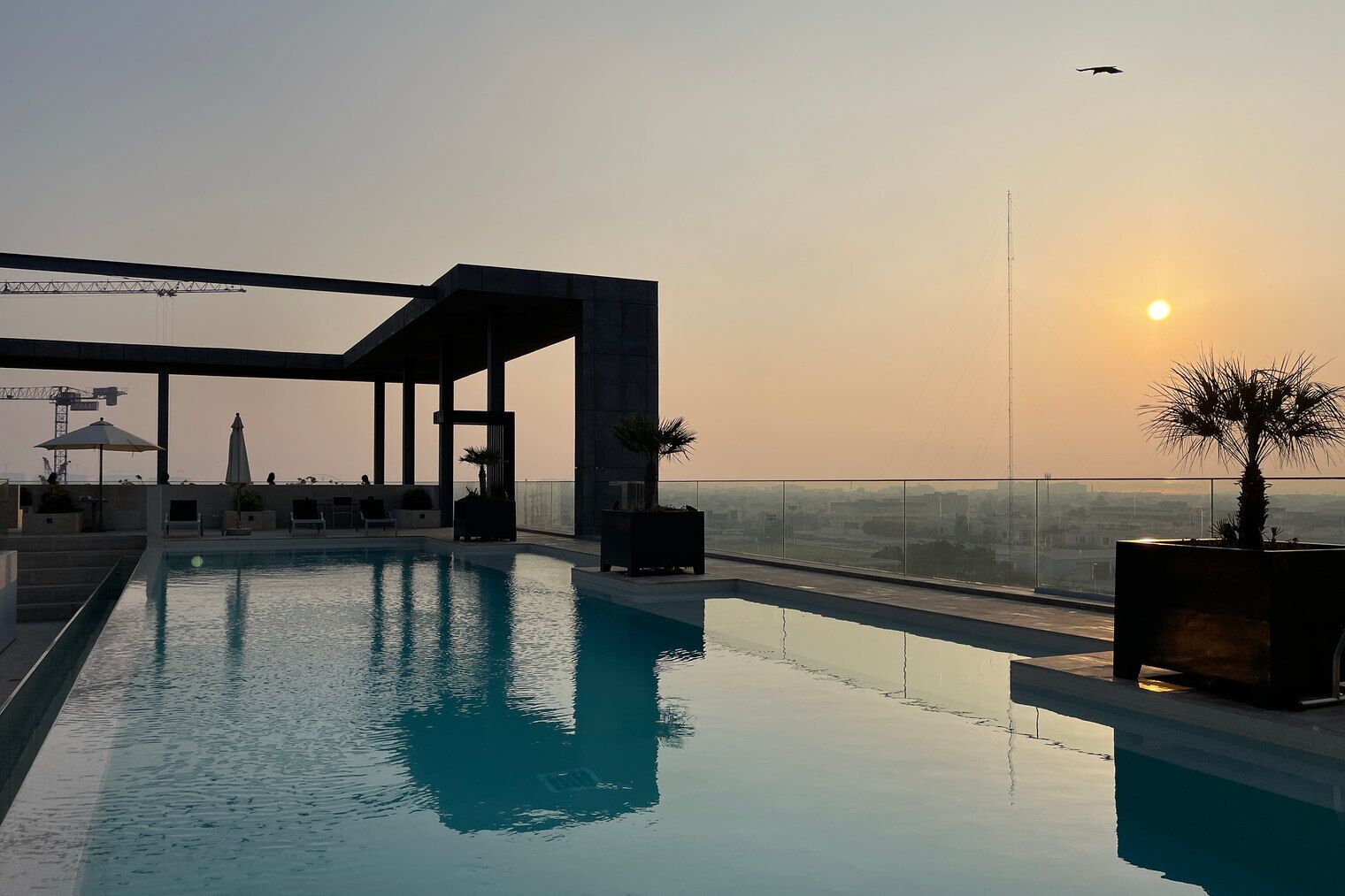 A rooftop infinity pool with a clear view of the sunset, lounge chairs, and a palm tree planter.
