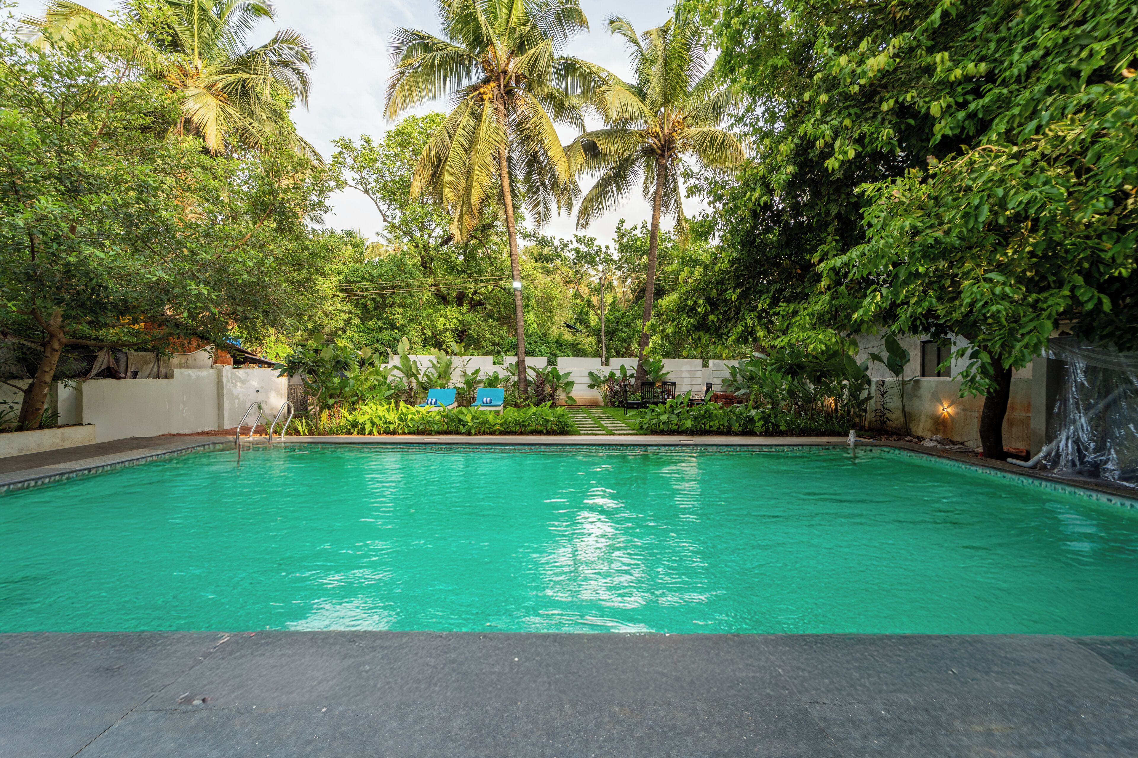 Une piscine entourée d’une végétation luxuriante et de palmiers.