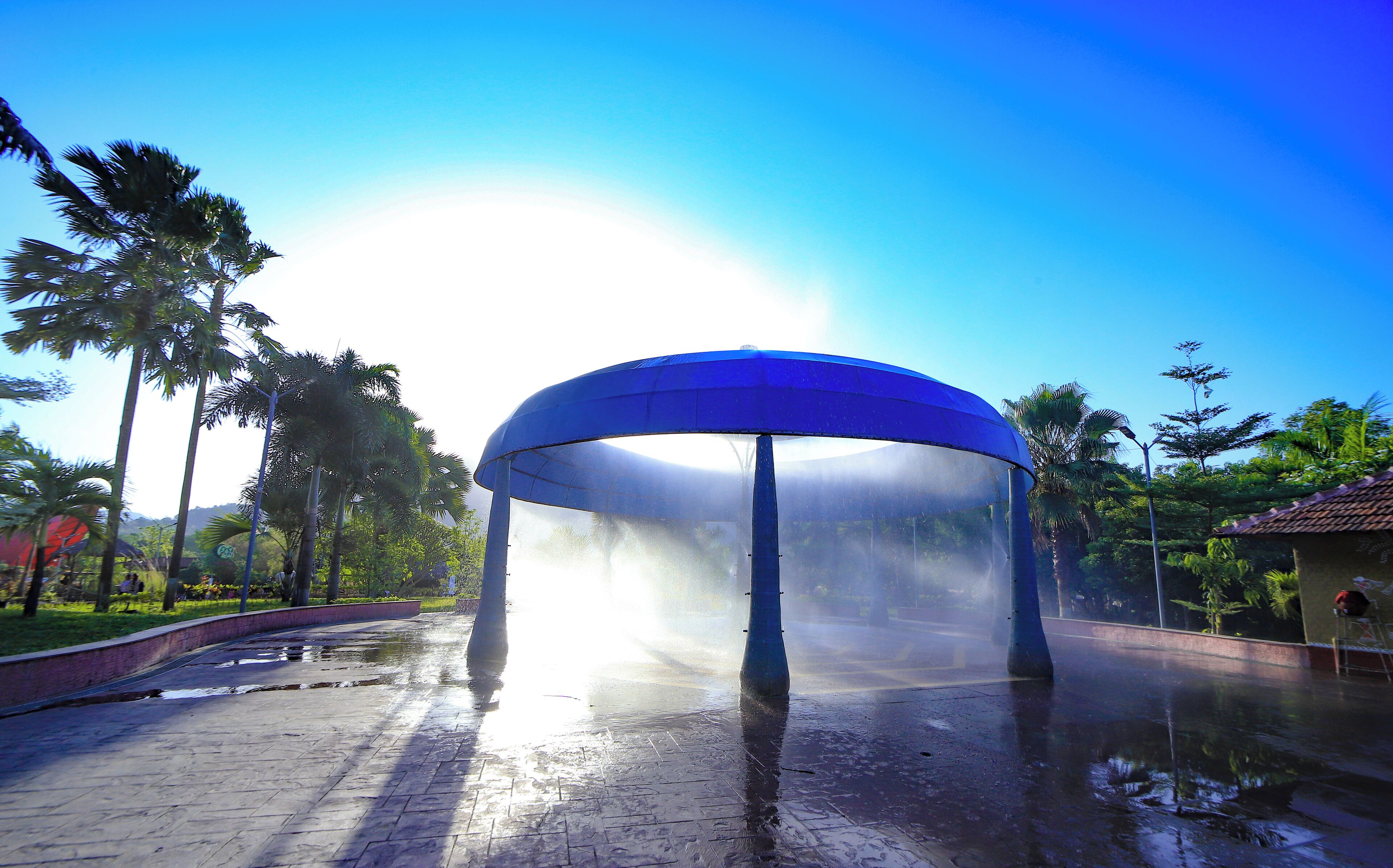 A covered pavilion with a transparent roof, surrounded by palm trees and a wet pavement.
