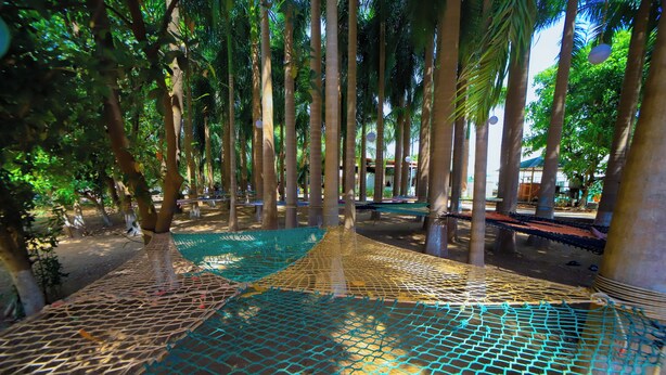 A rope bridge over a netted area surrounded by tall trees. - Monteria Village  (Khalapur)