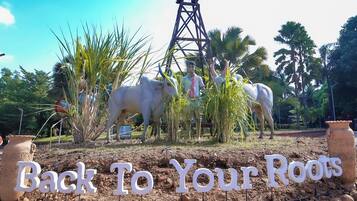 Fachada da propriedade