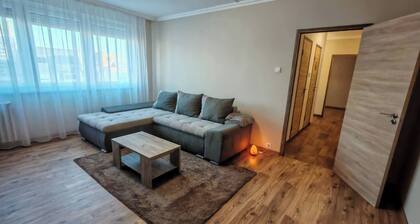 Cozy Downtown Nook Apartment for Rent