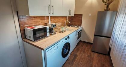 Cozy Downtown Nook Apartment for Rent