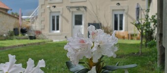 Maison Sorbier - Appartement 1