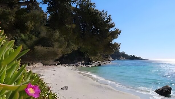 A beach with clear water, a sandy shore, and dense trees in the background. - Studio Apartment 'Chez Lina -  Avec Terrasse' with Private Terrace and Wi-Fi (Le Lavandou)