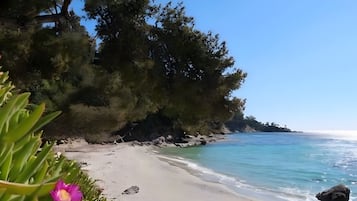 Playa en los alrededores