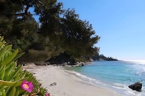 Una spiaggia con acqua cristallina, una riva sabbiosa e alberi rigogliosi sullo sfondo.