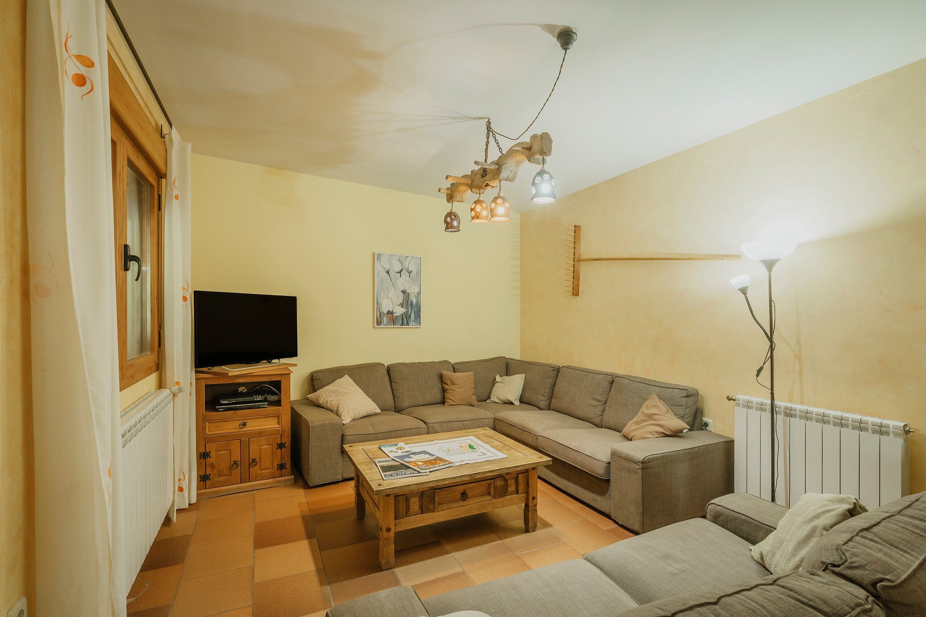 TV, fireplace, DVD player