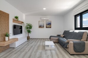 A modern living room with a flat-screen TV, a sofa, a coffee table, and a potted plant.