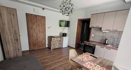 Charming Modern Furnished Studio in a Peaceful Neighborhood of Kecskemét