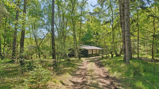 A cabin in a forest with a dirt path leading to it. - Renovated cottage near forest and beach (Rørvig)