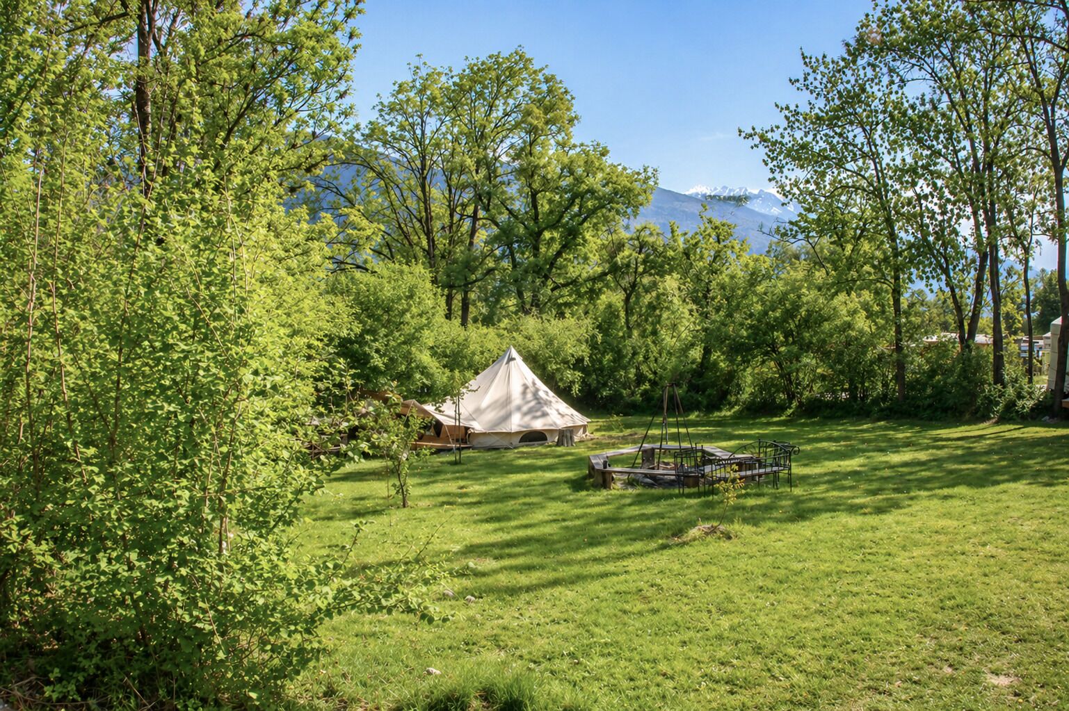 Uma área de camping com tendas, um balanço e vegetação exuberante, cercada por árvores.