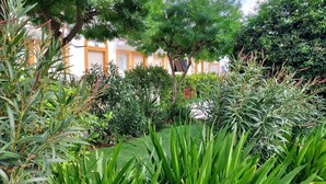 Een weelderige tuin met diverse planten en bomen, een gebouw met gele details en witte muren, en een heldere lucht.