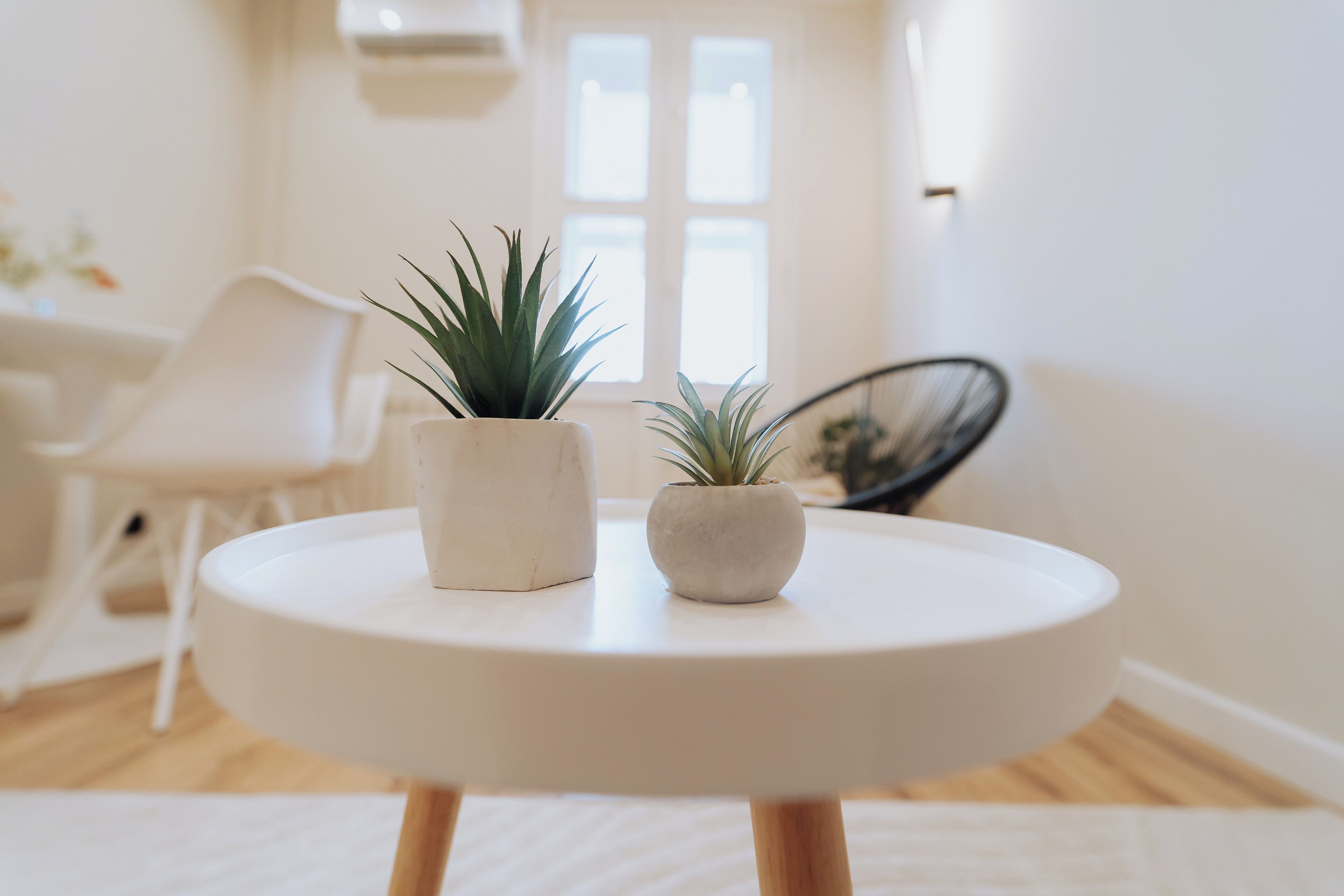 Una mesa redonda blanca con dos plantas en macetas, ubicada en una habitación luminosa con una silla blanca y una ventana al fondo.